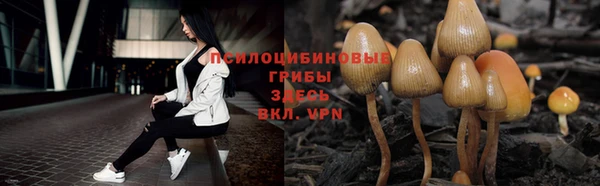 альфа пвп Няндома