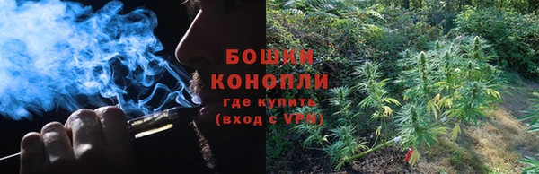 ешки Алзамай