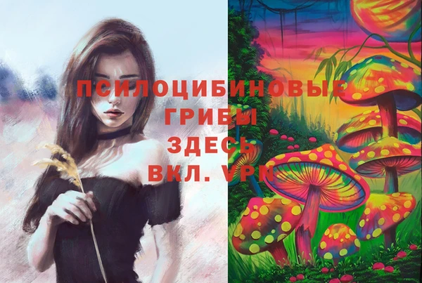 ешки Алзамай