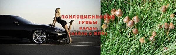 ешки Алзамай