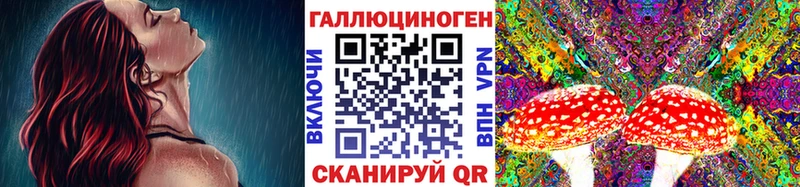 купить закладку Холм Галлюциногенные грибы ЛСД